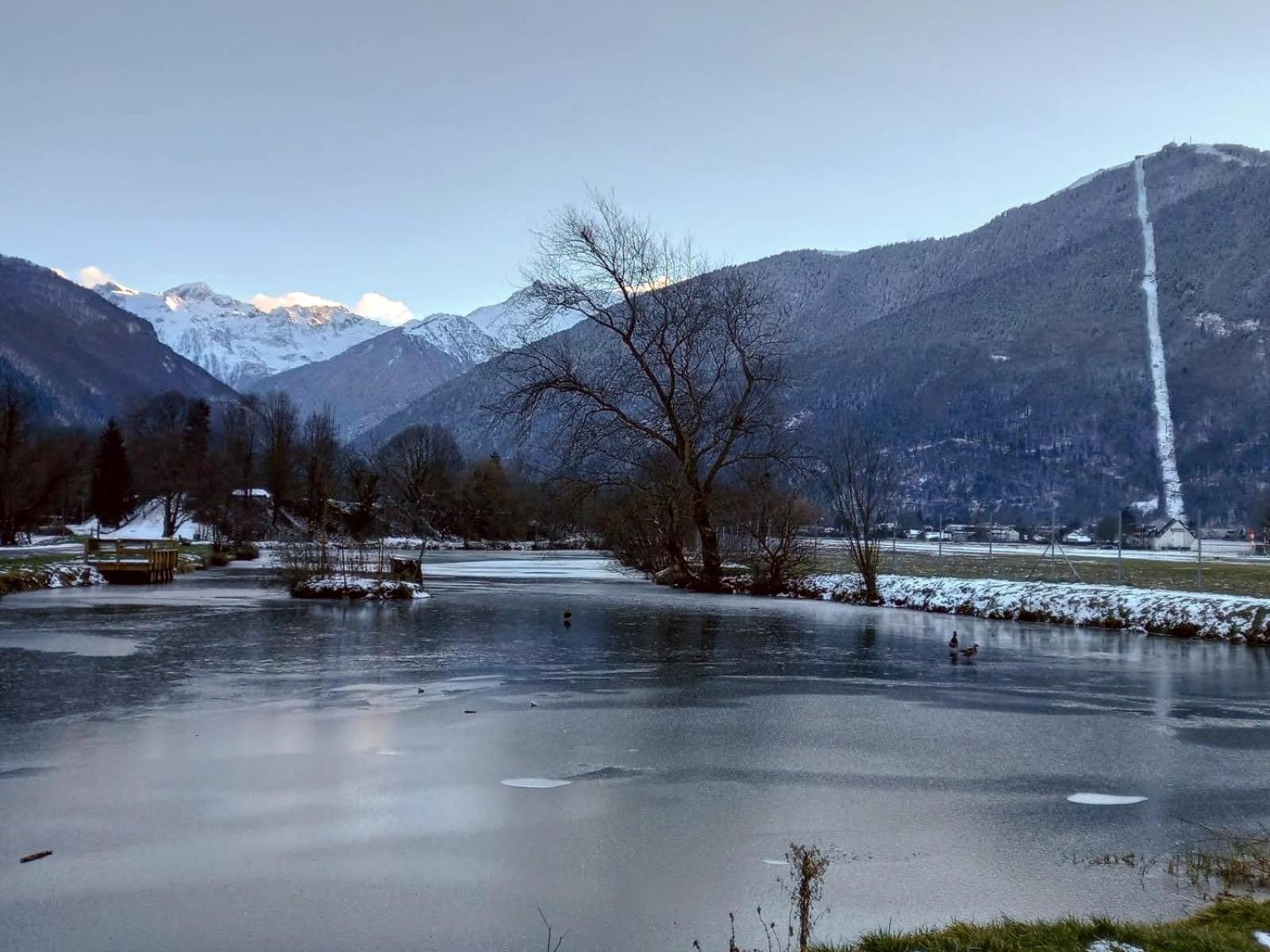 Le 102, T3 vue montagne, piscine, sauna, parking Bagnères-de-Luchon Esterno foto