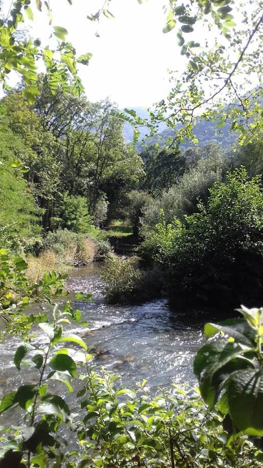 Le 102, T3 vue montagne, piscine, sauna, parking Bagnères-de-Luchon Esterno foto