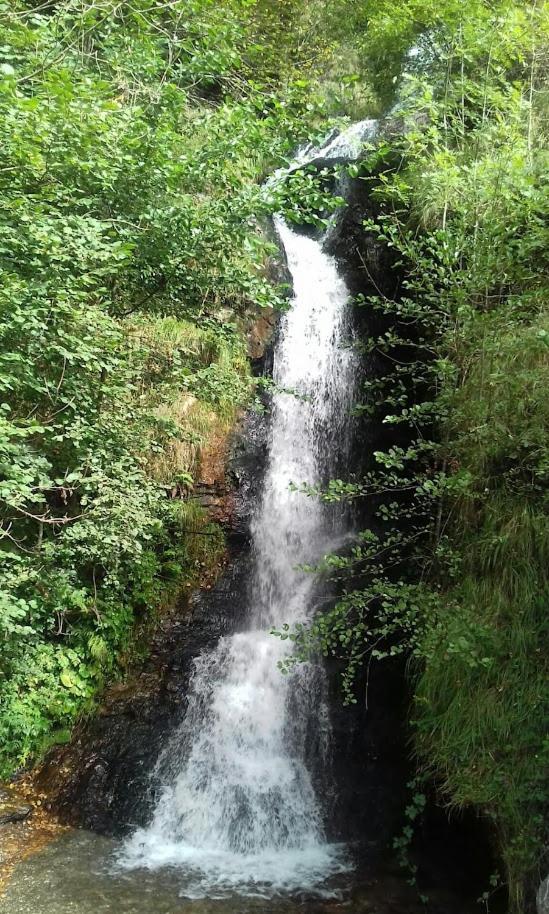 Le 102, T3 vue montagne, piscine, sauna, parking Bagnères-de-Luchon Esterno foto