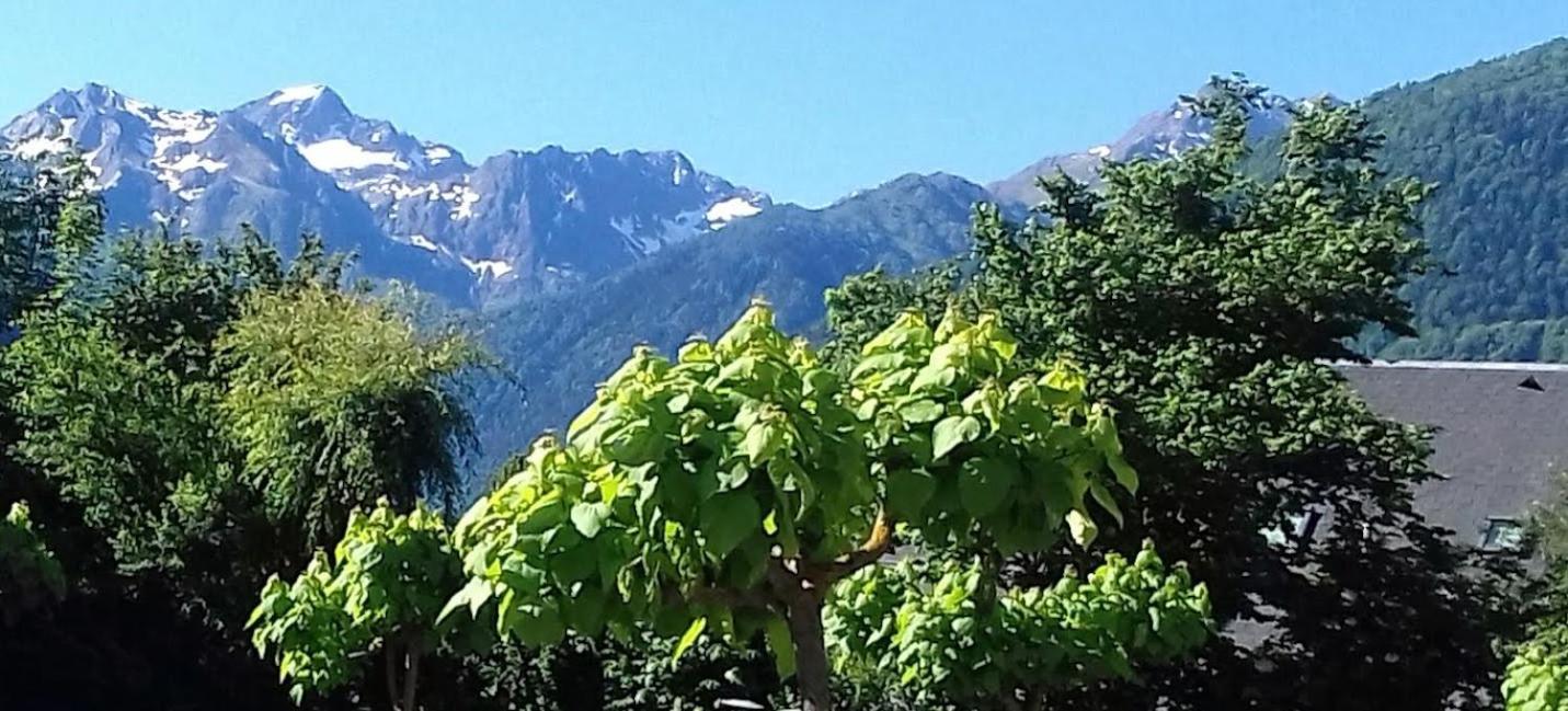 Le 102, T3 vue montagne, piscine, sauna, parking Bagnères-de-Luchon Esterno foto